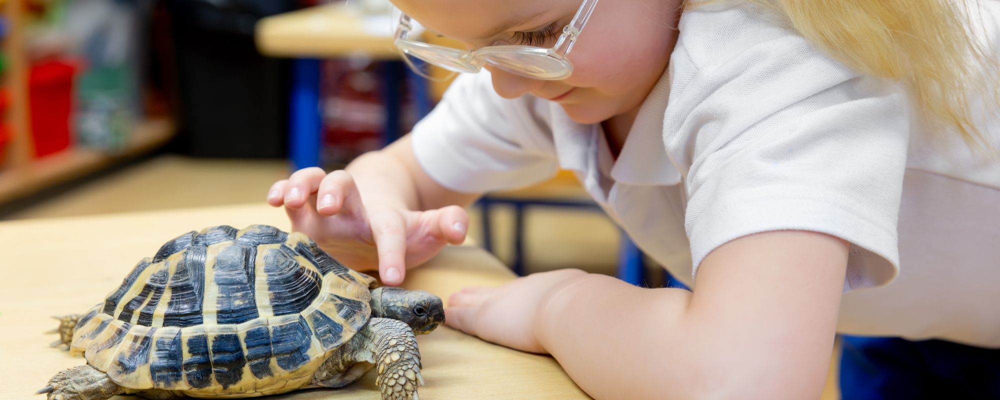 Danesfield Manor School Preparatory School and Nursery
